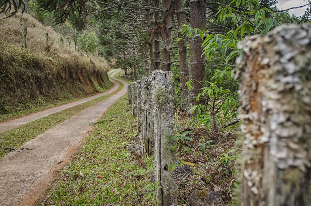 Pousada A Casa Da Fazenda Santo Antônio do Pinhal Exterior foto